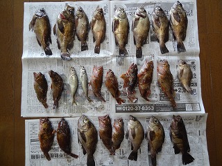 DSC01832